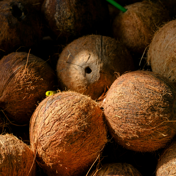 Caprylic Acid