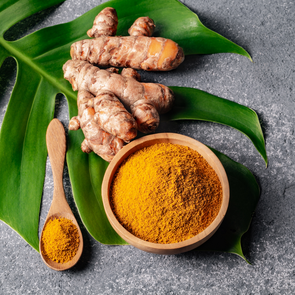 Turmeric Root